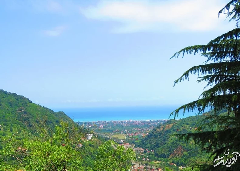 (تصاویر) آرامش جنگلهای زیبای سرولات و جنگسرا